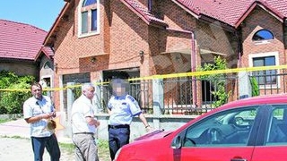 Hotii au intrat noaptea in vila Andreei Cretulescu
