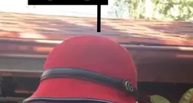 Galerie foto - poza 1