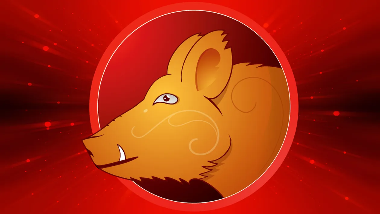 Anul Porcului de pământ 2019. Cum vom reuși să strângem bani