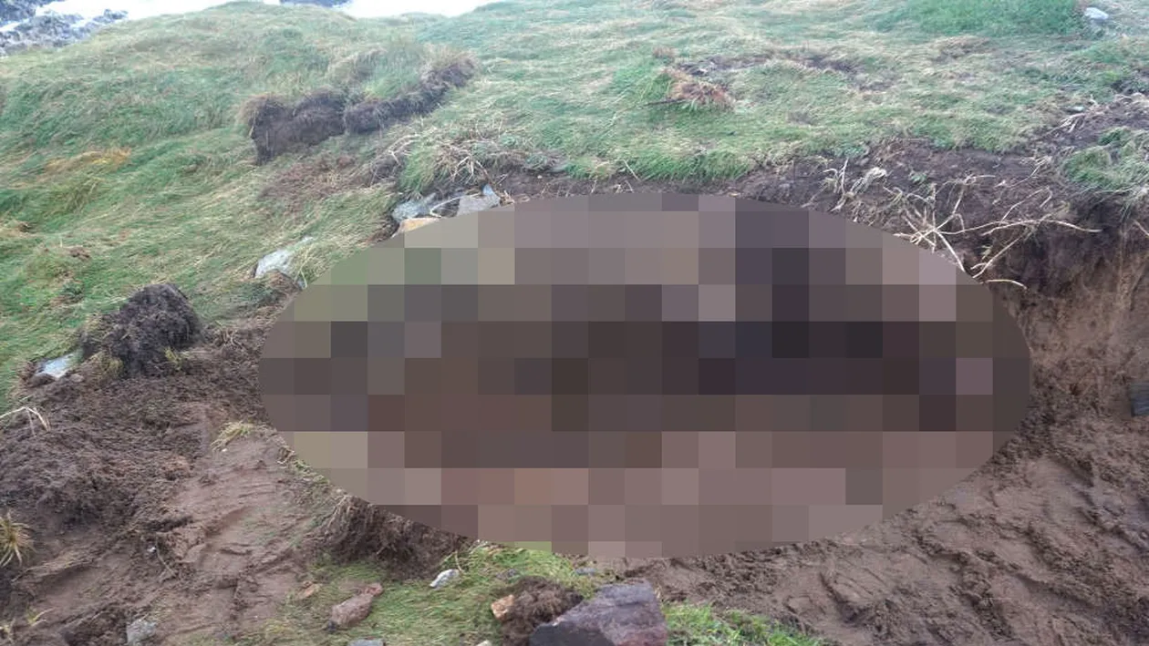 Descoperire socanta dupa uraganul Ophelia care a lovit Irlanda! Pamantul s-a surpat si a scos la iveala ceva ingrozitor. Era acolo de aproape 1000 de ani