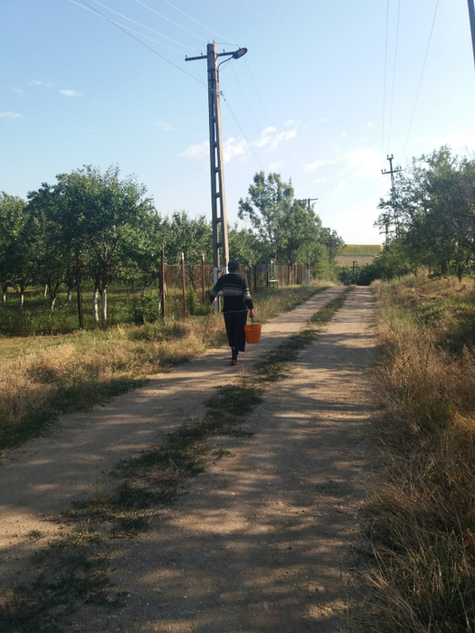 Unul dintre cei câțiva locuitori din Bucicani