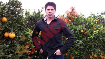 Ogica, gigolo in Spania