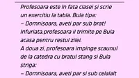 BANC | Bulă și profesoara neîngrijită