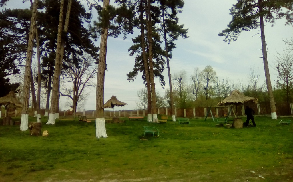 Cel mai mare focar de COVID-19 din Bacău. 94 de persoane de la un Centru de Recuperare și Reabilitare a Persoanelor cu Handicap au fost depistate cu SARS-CoV-2