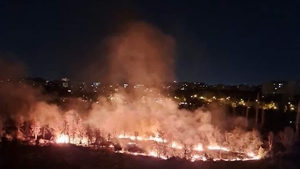 Breaking news! Un nou incendiu puternic în Parcul IOR. Ultimul eveniment asemănător avusese loc în urmă cu o lună