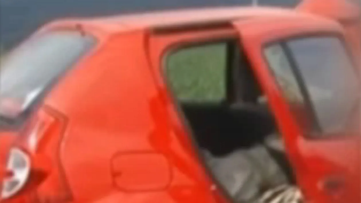 VIDEO Accident terifiant pe DN1! Un cal a trecut printr-un parbriz, iar o femeie a ramas prinsa sub lesul acestuia