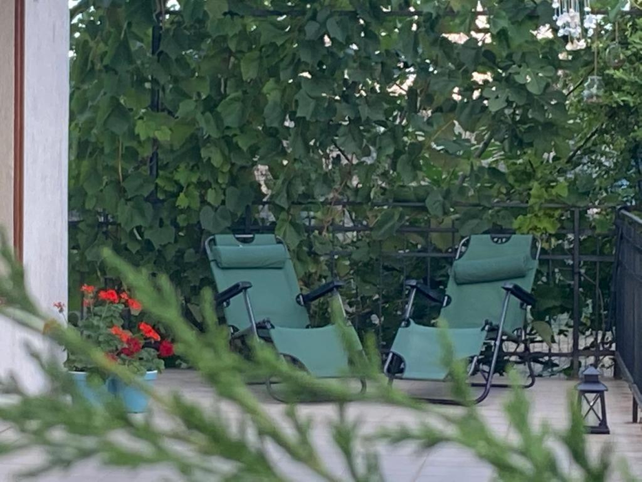 Vila lui Alexandru Arșinel. Sursă foto: booking