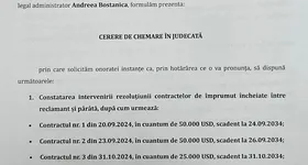 Galerie foto - poza 2