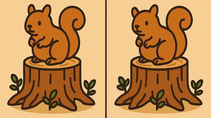 Test de logică | 3 diferențe în maximum 33 de secunde – Le puteți identifica pe toate?