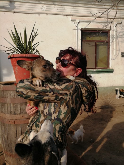 Ce s-a ales de câinii monstrului din Caracal! Imagini noi cu animalele care au îngrozit-o pe Alexandra Măceșanu: “Dincă le ținea în lanțuri”
