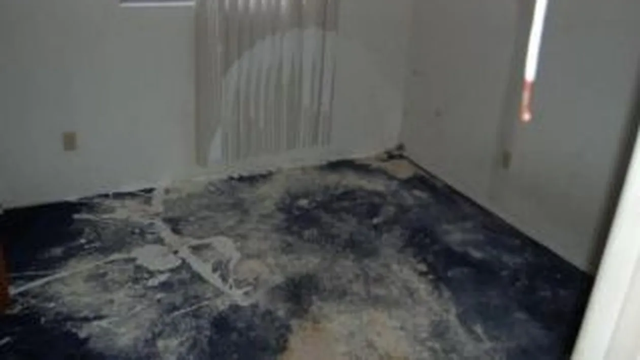 O familie de romani din Canada este in permanenta hartuita de un grup de adolescenti