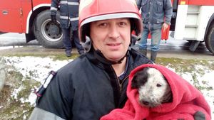 Un cățeluș aruncat de stăpân într-o pungă a fost salvat de pompierii craioveni dintr-un tub de ciment. Fratele lui n-a avut, însă, noroc