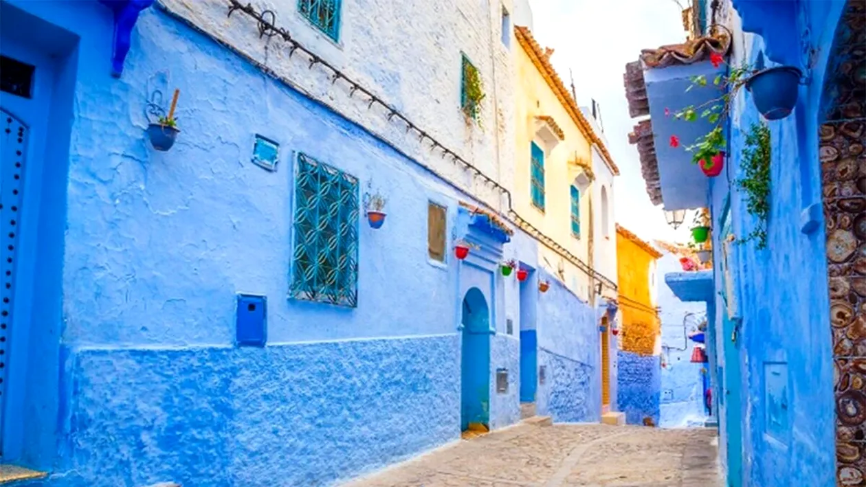 Iluzie optică virală | Găsiți pisica ascunsă pe această stradă din Grecia!