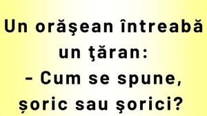 BANCUL ZILEI | "Cum se spune: șoric sau șorici?"