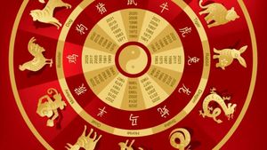 Zodiile care au noroc cu carul în anul Calului De Foc 2026. Belșugul bate la ușă