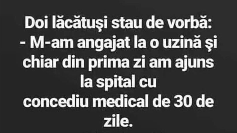 BANC | Doi lăcătuși stau de vorbă