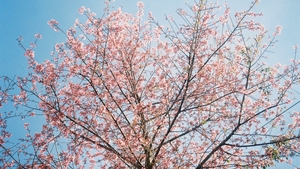 Prognoza meteo azi, 13 martie 2026. Primăvara se încălzește brusc în vestul României: temperaturile urcă până la 18 grade în Banat și Crișana