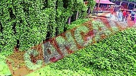 A supravietuit cinci zile sub o masina