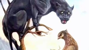 Iluzica optică a zilei | Află dacă ai stofă de lider, după ce priveşti această imagine