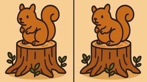 Test de logică | 3 diferențe în maximum 33 de secunde - Le puteți identifica pe toate?