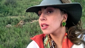 A cautat-o moartea la un safari! Lady Gaga, la trei pasi de a fi sfasiata de un grup de lei