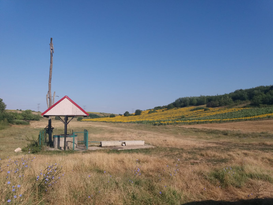 Bucicani, un loc rupt de lume, de care nu a auzit nici COVID-ul