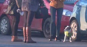 Galerie foto - poza 3