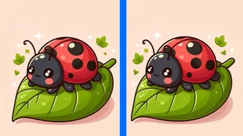 TEST IQ | 3 diferențe în maximum 29 de secunde: Le puteți descoperi pe toate?