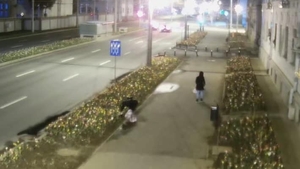Riscă de 3 la 10 ani de închisoare pentru niște lalele! Două femei au fost prinse în timp ce furau florile plantate de Primărie