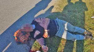 VIDEO. Doi oameni au fost spulberaţi de o căruţă scăpată de sub control, în Dâmboviţa. În ce stare sunt acum