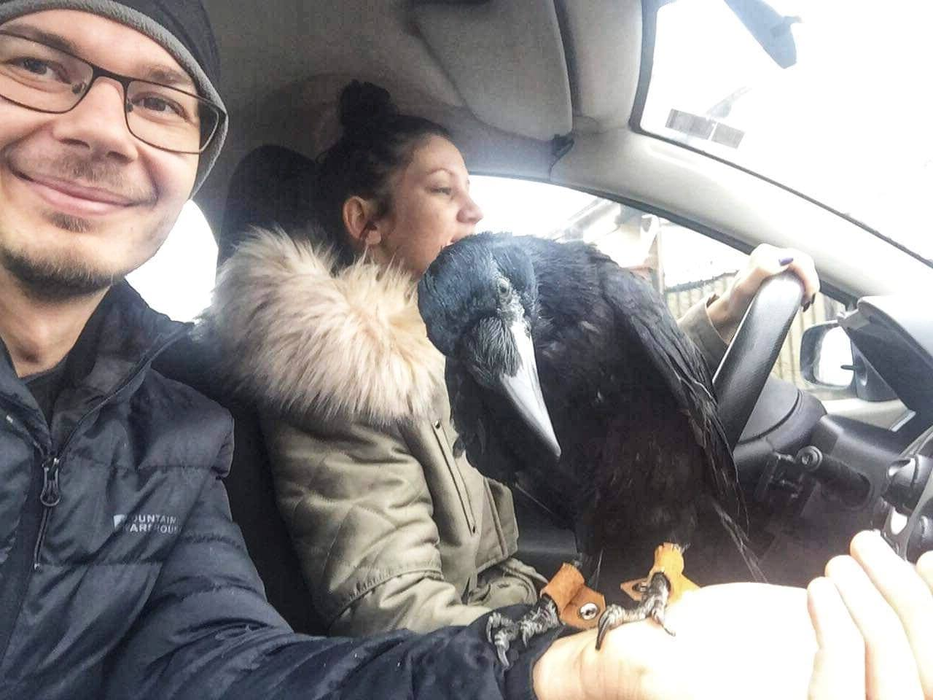 Cronco este un adevărat membru al familiei