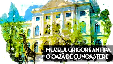 Muzeul Grigore Antipa, o oază de cunoaștere