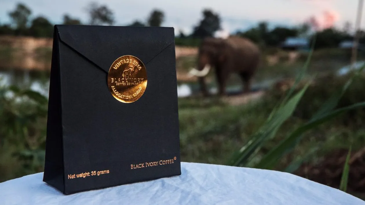 Care sunt, de fapt, cele mai scumpe cafele din lume? Nici cafenelele de lux din Dorobanți nu și le pot permite