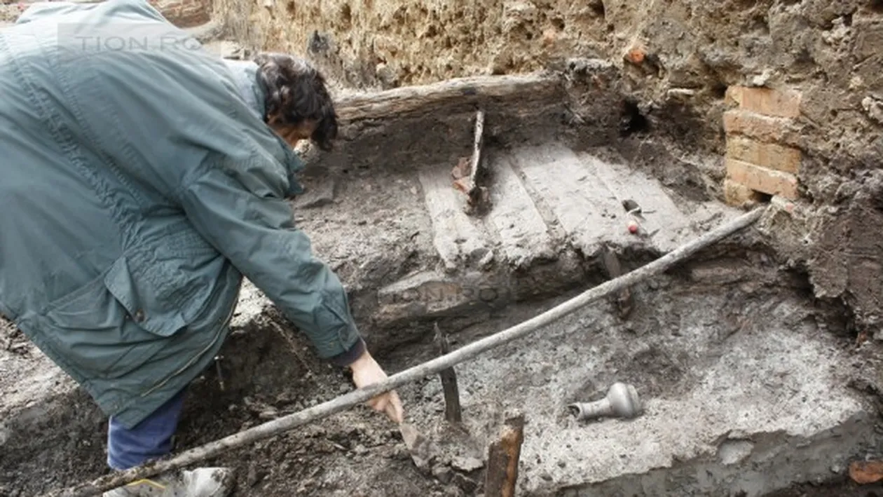 O bucureșteancă a găsit o creatură ciudată pe o alee și a publicat imaginea cu ea pe Facebook. Prietenii ei s-au șocat! ”Du-te de urgență la... ”