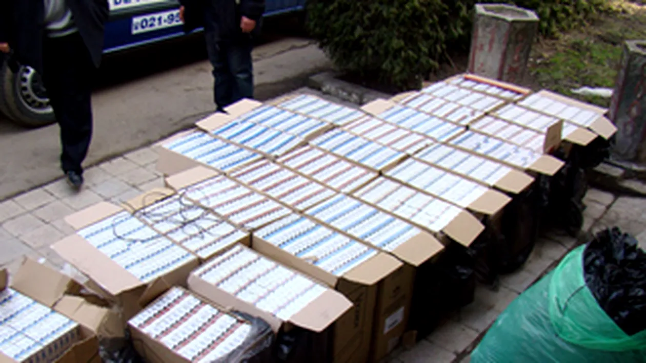 Aproape 3.000 de pachete de tigari au fost confiscate in Calarasi!