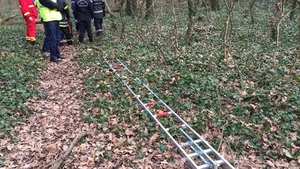 L-a descoperit spânzurat într-o pădure din Timișoara!