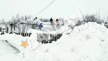 Stelistii si dinamovistii, camarazi printre nameti. S-au unit pentru a salva oamenii de sub troiene