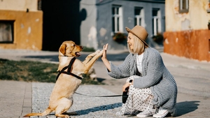 Top 5 cele mai scumpe rase de câini din lume. Iubitorii de animale ar trebui să scoată o avere din buzunar pentru a-i avea