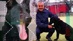 Ei sunt Bobby și Mura, eroii de la ISU Gorj!