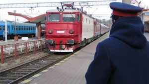 Şase trenuri de călători sunt blocate în gările Predeal şi Timişu de Sus, după ce un copac a căzut pe calea ferată