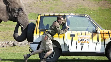 FOTO IMPRESIONANT! Un elefant a impins masina stricata a ingrijitorului