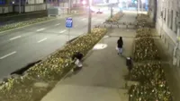 Riscă de 3 la 10 ani de închisoare pentru niște lalele! Două femei au fost prinse în timp ce furau florile plantate de Primărie