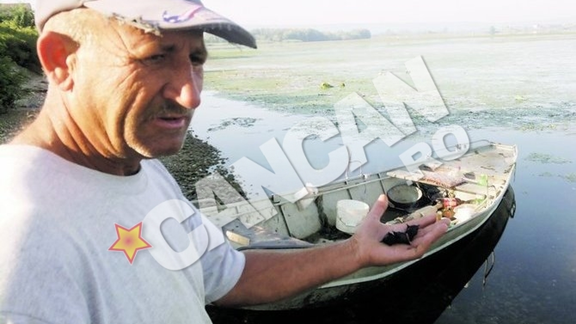 Alerta pe Dunare, la Hinova, Mehedinti! "Plantele cu coarne" au invadat fluviul