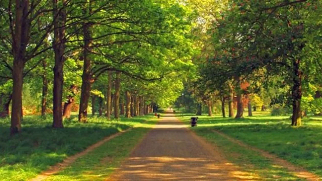 METEO 17 APRILIE. Vremea va deveni instabila in Bucuresti si in alte zone din tara!