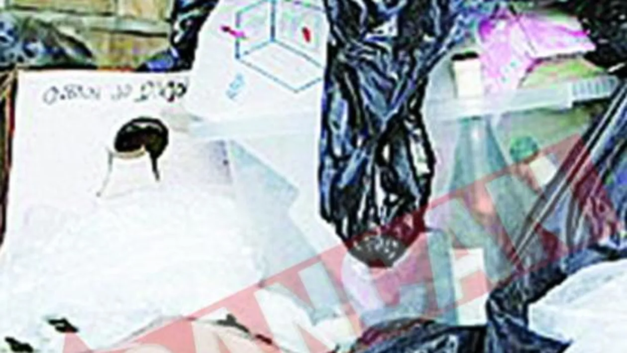 Kate Moss a umplut strada de gunoi