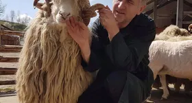 Galerie foto - poza 3