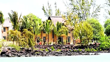 Omorata in luna de miere