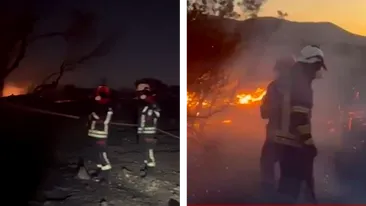 E stare de alertă în Grecia! Un nou incendiu devastator din cauza caniculei