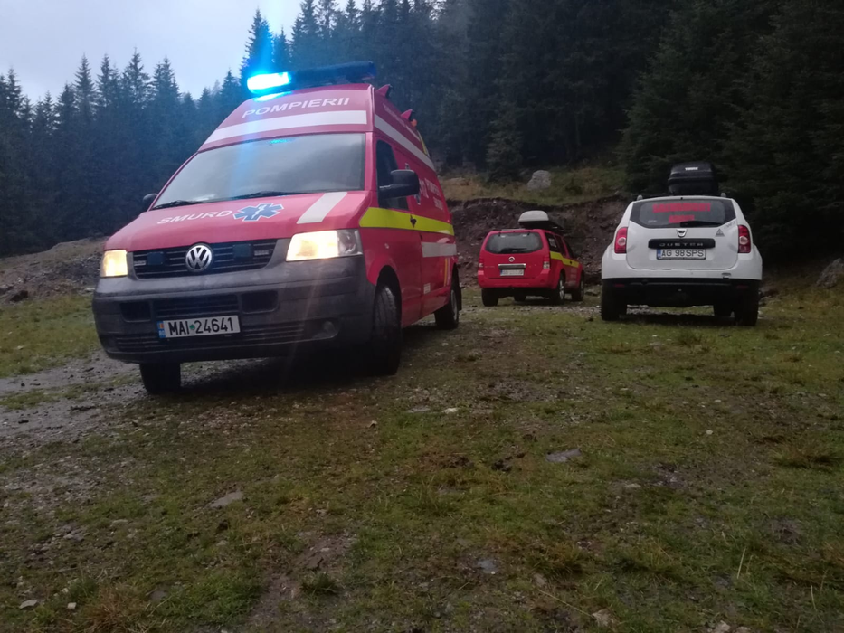 Tovarăși de stână, dușmani după un pahar de tărie. Un cioban a ajuns la spital snopit în bătaie de un alt angajat la stână VIDEO