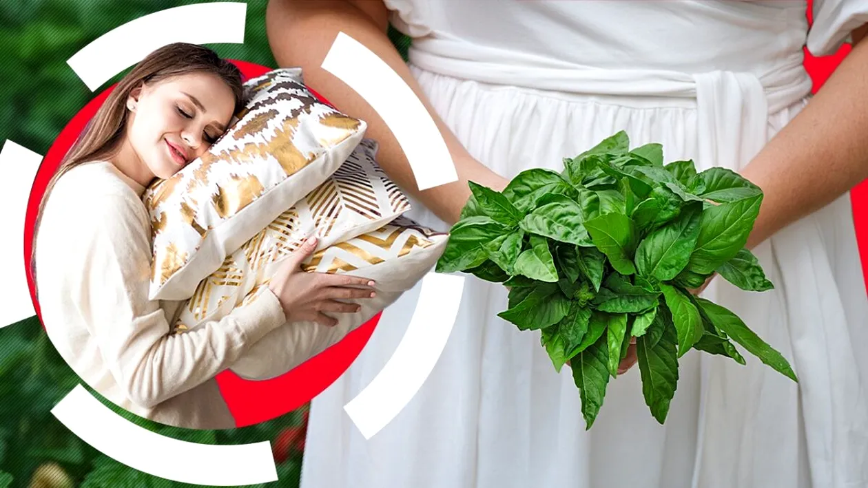 Când trebuie să pui busuioc sub pernă, de Bobotează. Ce e musai să facă fetele nemăritate